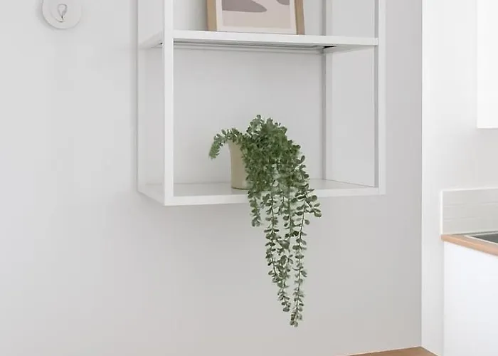 Le Cozy - Apartment *